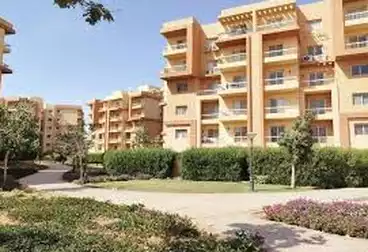 شقق للبيع - 2 غرف - بالدور 1