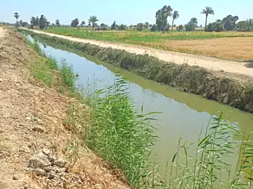 أرض زراعية للبيع