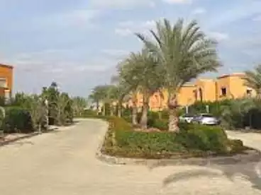 فلل للبيع في وادي النخيل، الشيخ زايد الجديدة، 320 متر
