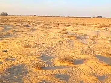 أرض زراعية للبيع