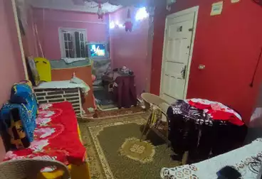 شقق للبيع - 2 غرف - بالدور 5