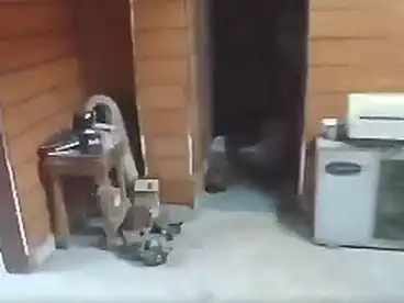 Properties For rent - 1 rooms - floor 0