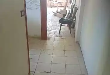 عقارات للبيع - 3 غرف - بالدور 7