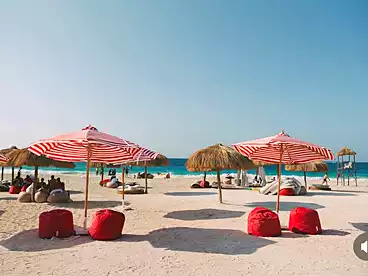 عقارات للبيع - 2 غرف - بالدور 2