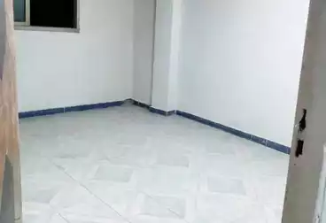 Properties For rent - 2 rooms - floor 4