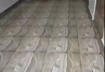 Apartments For rent - 2 rooms - floor 8