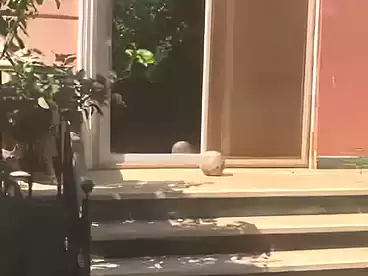 Villas For sale - 4 rooms