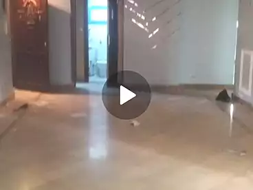 Apartments For rent - 3 rooms - floor 3