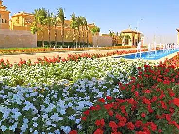 فلل للبيع - 5 غرف