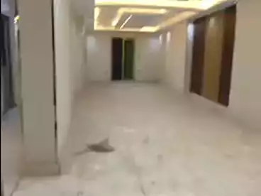 عقارات للإيجار - 3 غرف - بالدور 2