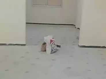 Apartments For sale - 2 rooms - floor 2