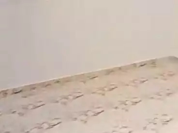 شقق للبيع - 2 غرف - بالدور 2