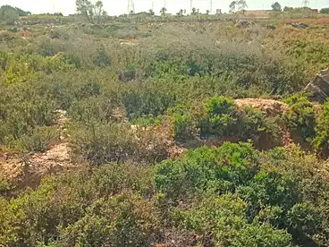 Land For sale in Borg El Arab, Alexandria, 3000 sqm