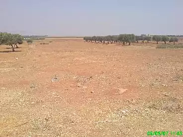 للبيع في محور جمال عبد الناصر، 6 أكتوبر، 1300 متر