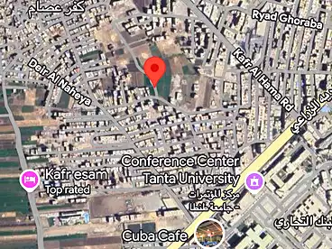 Land For sale in Kafr Essam St., Tanta City, 330 sqm