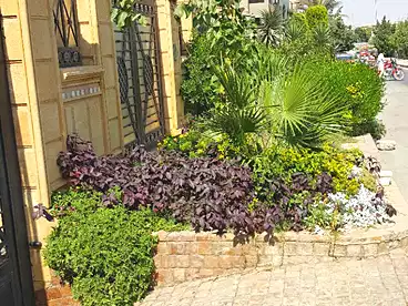 Apartments For rent in Abd El Rahman Ouda St., El Narges 3, 220 sqm