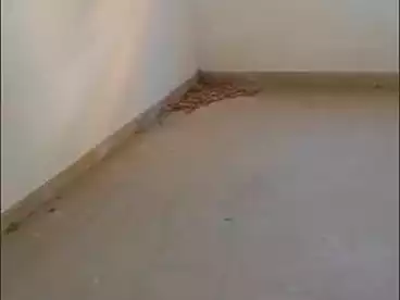 Apartments For sale in El Hanouvel, Al Agamy, 90 sqm