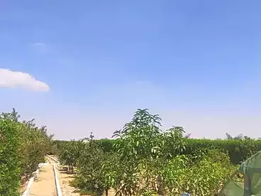 Farm For sale in Asyut Rd., El Fayoum, 2400 sqm