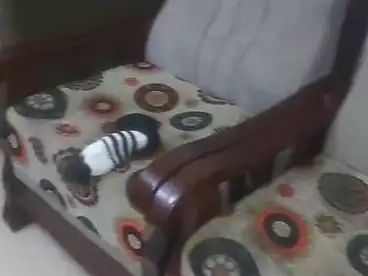 Furnished Apartment For rent in King Faisal St, Faisal, 150 sqm