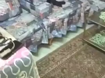 Furnished Apartment For sale in Mahmoud El Isawy St., Sidi Beshr Bahri, 60 sqm