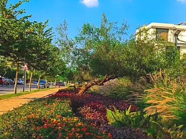 للبيع في أوريجامي جاردنز - كمبوند تاج سيتي، كمبوند تاج سيتى - مدينة مصر، 58 متر