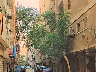 منزل / بيت للبيع في ترسا، شارع خاتم المرسلين، 90 متر
