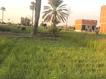 Land For sale in Saft El Laban, Kirdasah, 95 sqm