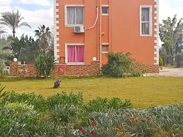 فلل للبيع في مزارع ستيلا دي ماري، مدينة سفنكس الجديدة، 215 متر