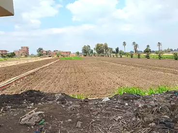 Land For sale in Mit Ghamr City, Mit Ghamr, 875 sqm