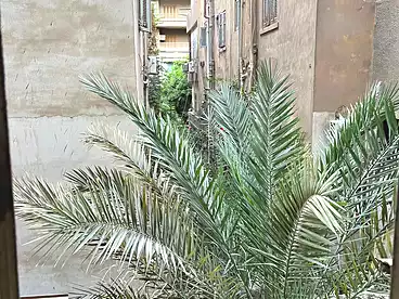 شقق للبيع في شارع شاهين، العجوزة، 85 متر