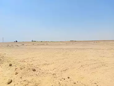 Land For sale in Medom, El Wasta, 12600 sqm