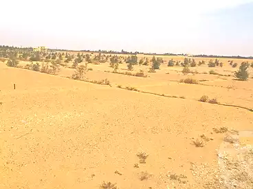 أراضي للبيع في أكتوبر الجديدة، 6 أكتوبر، 550 متر