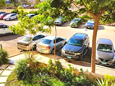Offices For rent in Sixth Neighborhood, Zahraa El Maadi, 160 sqm