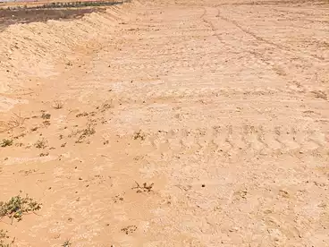 Land For sale in Borg El Arab, Alexandria, 46200 sqm