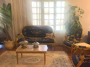 شقق للبيع في شارع الجزيرة، المستثمرين الجنوبية، 220 متر