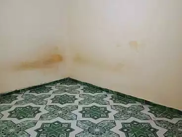 شقق للإيجار في سيدي بشر بحري، سيدي بشر، 75 متر