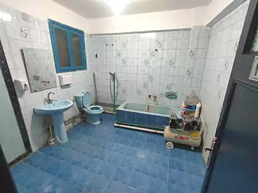 Properties For rent in Ahmed Orabi St., Ain Shams El Sharkia, 300 sqm