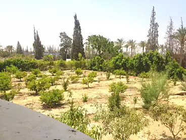للبيع في كمبوند جرين 5 - مباني ادريس، كمبوند في ٦ اكتوبر، 4000 متر