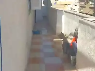 شقق مفروشة للبيع في شارع رضوان، الهانوفيل، 150 متر