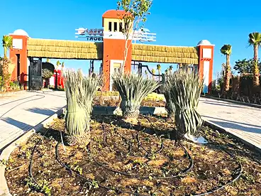 For sale in Bungalows Resort - Arabia, North Coast Resorts, 130 sqm