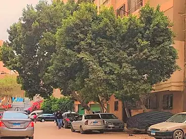 Apartments For sale in Khatem El Morsalin St, Tersa, 100 sqm