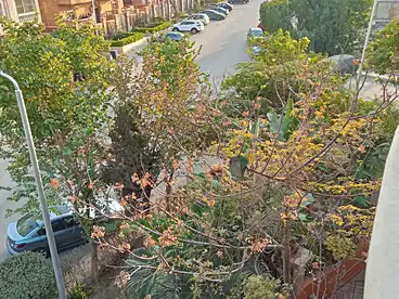 Properties For sale in South Academy (Z), South of Academy, 190 sqm