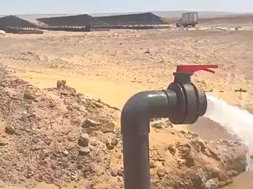 أراضي للبيع في حي الزهور، الواحات الخارجه، 42000 متر