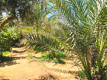 عقارات للبيع في مزارع ستيلا دي ماري، مدينة سفنكس الجديدة، 215 متر