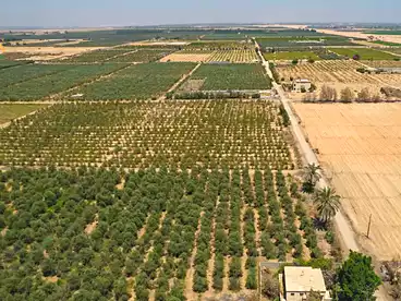 Farm For sale in Cairo - Alexandria Desert Road, Alexandria, 180600 sqm