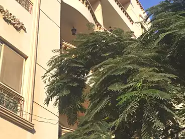 For sale in Mohamed Sabry Abu Alam St., El Narges Omarat, 158 sqm