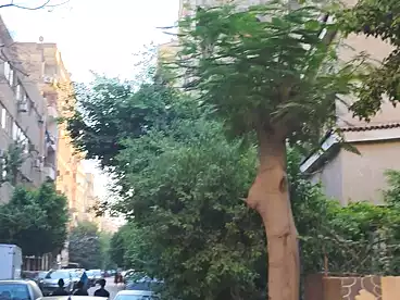شقق للبيع في التعاون، الهرم، 200 متر