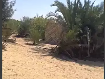 أراضي للبيع في وادي النطرون، البحيرة، 21444 متر