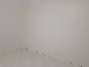 شقق للبيع في شهر العسل، البيطاش، 240 متر