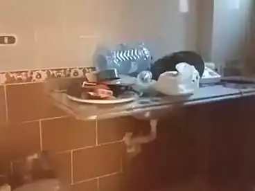 شقق للبيع في الهانوفيل، العجمي، 80 متر
